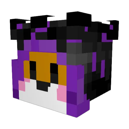 JayoneSol Minecraft avatar head, 3D render