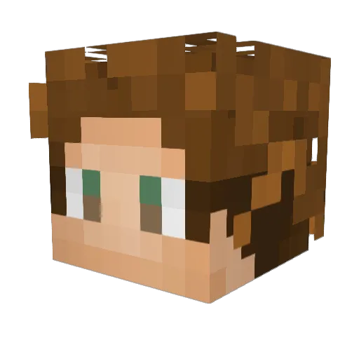 Jaypack_ Minecraft avatar head, 3D render