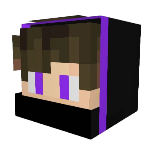 Jaypee24 Minecraft avatar head, 3D render