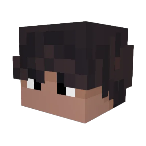 Jaypig13 Minecraft avatar head, 3D render