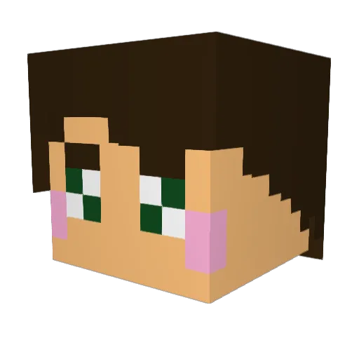 Jaypom Minecraft avatar head, 3D render