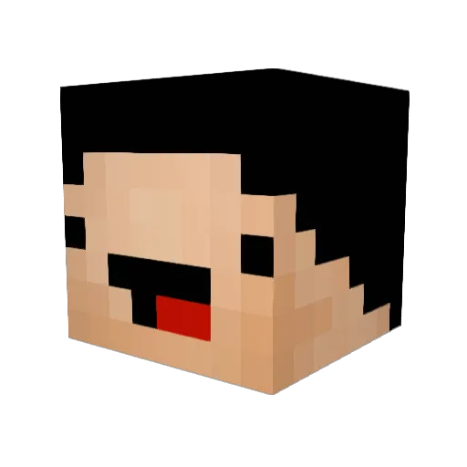 Jayrod617 Minecraft avatar head, 3D render