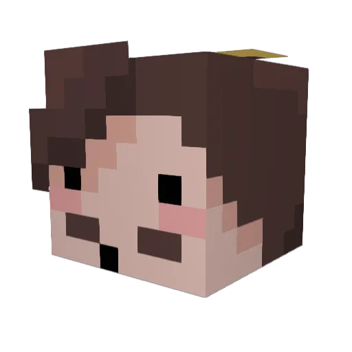 JaysAJenius Minecraft avatar head, 3D render