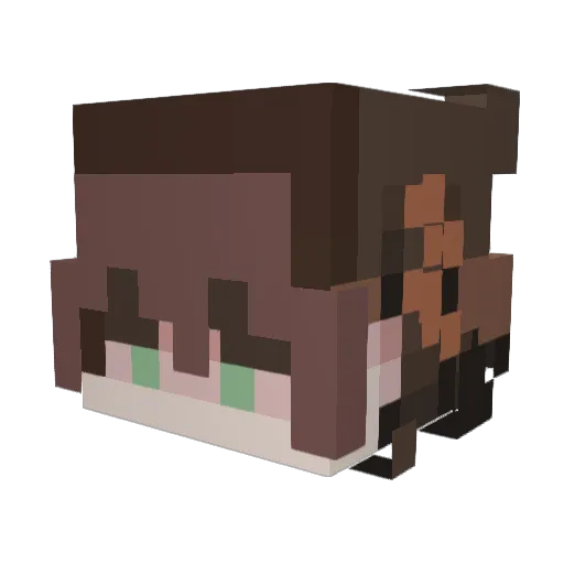 Jaysan63 Minecraft avatar head, 3D render