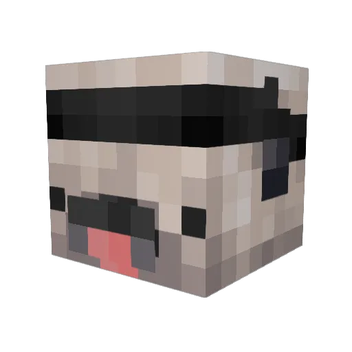 Jayseabe Minecraft avatar head, 3D render