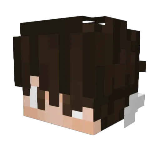 Jayskyee Minecraft avatar head, 3D render