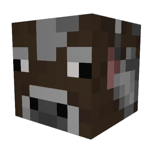 Jaysonpl4yz Minecraft avatar head, 3D render