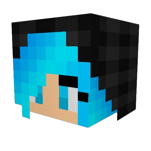 Jaysooo Minecraft avatar head, 3D render