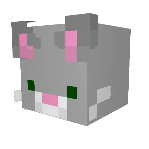 Jaystarter Minecraft avatar head, 3D render