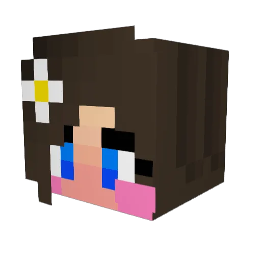 Jaystick Minecraft avatar head, 3D render