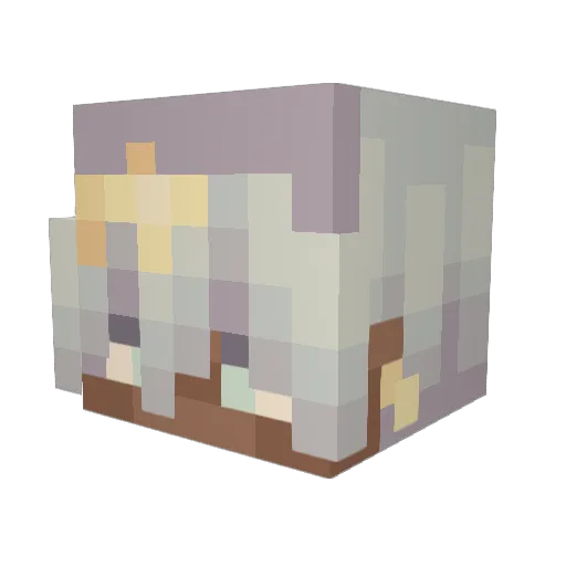 Jaysweet1207 Minecraft avatar head, 3D render