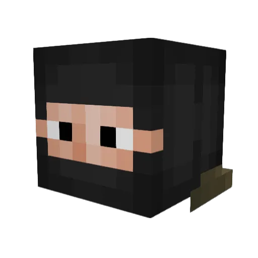 Jaytard Minecraft avatar head, 3D render