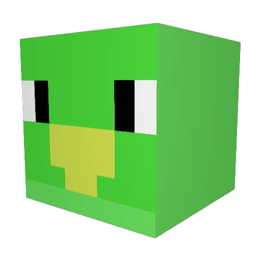 Jaytelli Minecraft avatar head, 3D render