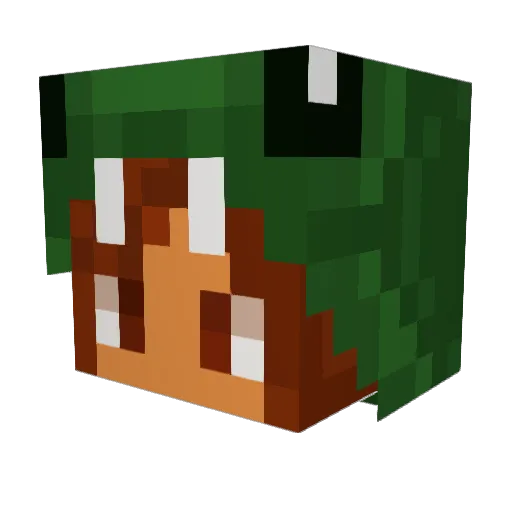 JaytheSnake_ Minecraft avatar head, 3D render