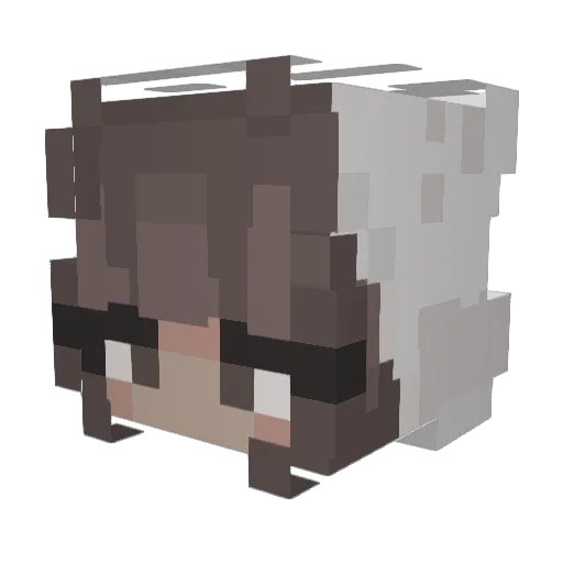 Jaytona Minecraft avatar head, 3D render