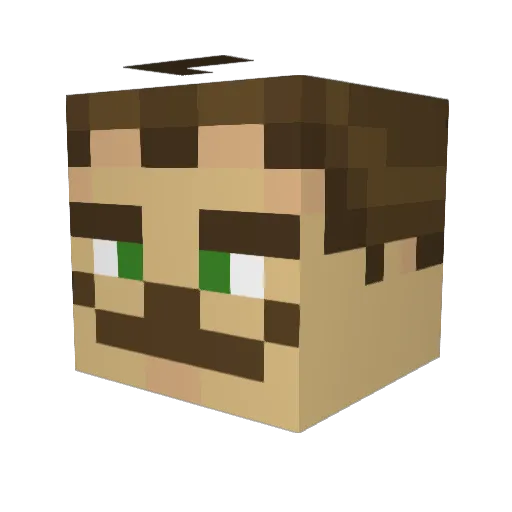 Jaytor06 Minecraft avatar head, 3D render