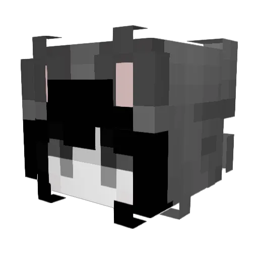 Jayvereon Minecraft avatar head, 3D render