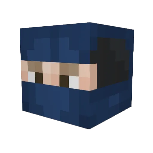Jayvill17 Minecraft avatar head, 3D render
