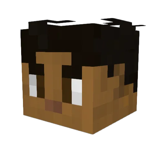 Jaywolvz Minecraft avatar head, 3D render