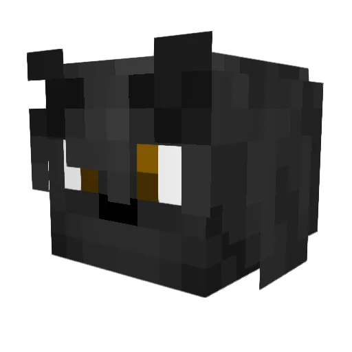 Jayy003 Minecraft avatar head, 3D render