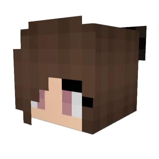 Jayy204 Minecraft avatar head, 3D render