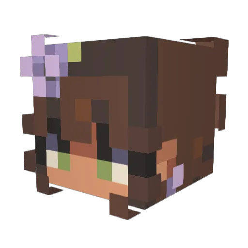 JayyBear42 Minecraft avatar head, 3D render