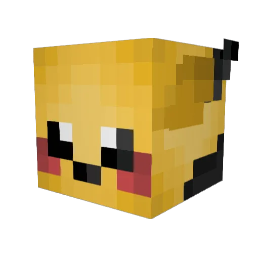 Jayydubs Minecraft avatar head, 3D render