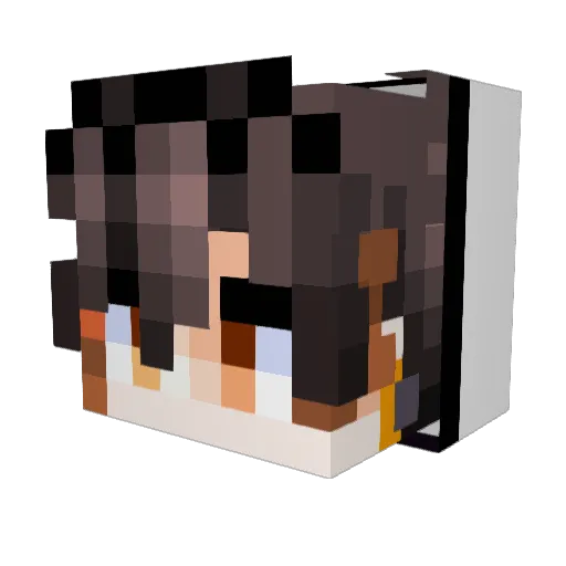 JayzQxD Minecraft avatar head, 3D render