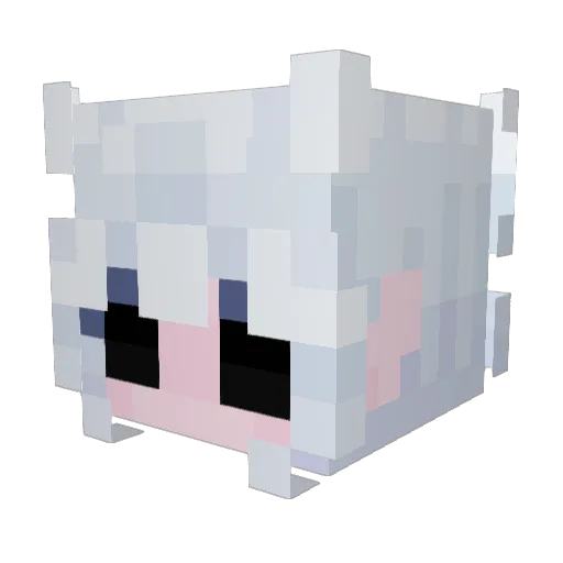 Jayz_9 Minecraft avatar head, 3D render