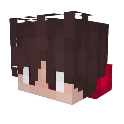 Jaz0n84 Minecraft avatar head, 3D render