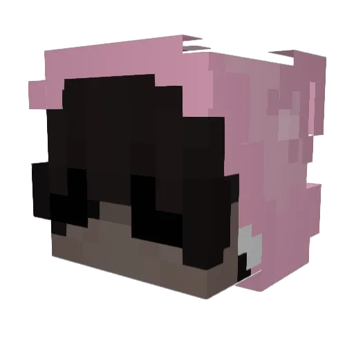 JazminsKitten Minecraft avatar head, 3D render