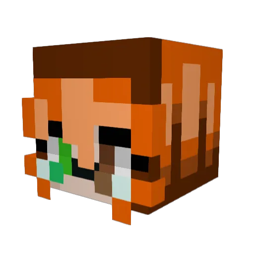 Jazz_ugly Minecraft avatar head, 3D render