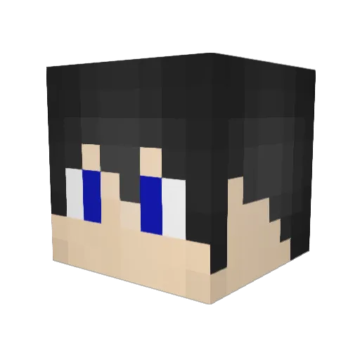 Jazza4795 Minecraft avatar head, 3D render