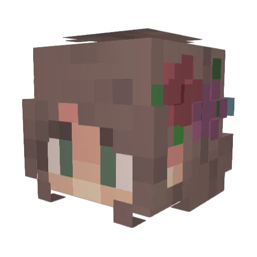 Jazze_westman Minecraft avatar head, 3D render