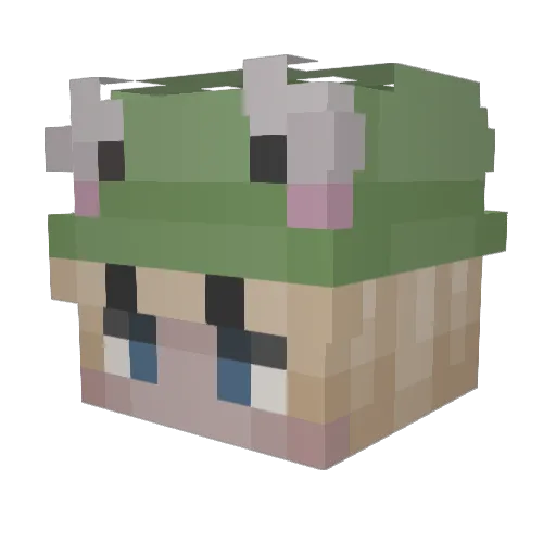 Jazzer2121 Minecraft avatar head, 3D render