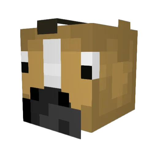 Jazzie225 Minecraft avatar head, 3D render