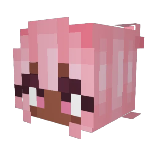 Jazzy2k21 Minecraft avatar head, 3D render