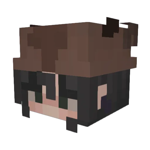 Jazzy8266 Minecraft avatar head, 3D render