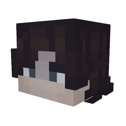 JazzyJustin Minecraft avatar head, 3D render
