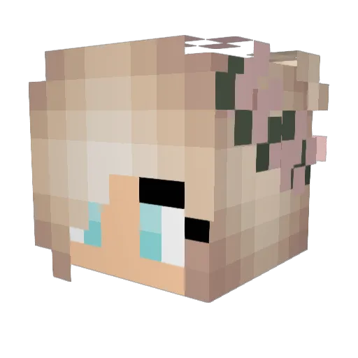 JazzyMan666 Minecraft avatar head, 3D render