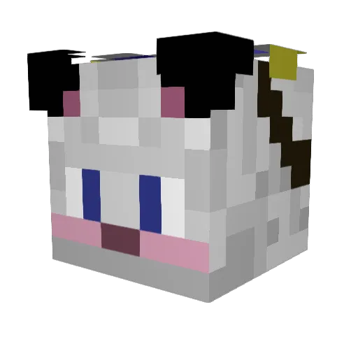 Jbatespoint0 Minecraft avatar head, 3D render