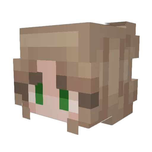 Jbden98 Minecraft avatar head, 3D render