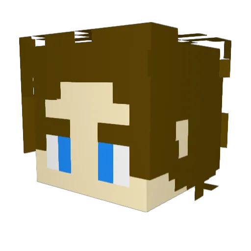 JbugTyler008080 Minecraft avatar head, 3D render