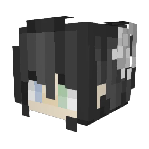 Jbw0916 Minecraft avatar head, 3D render