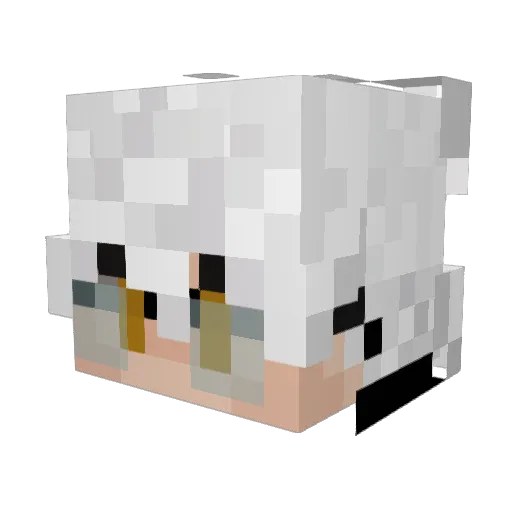 Jc02345 Minecraft avatar head, 3D render