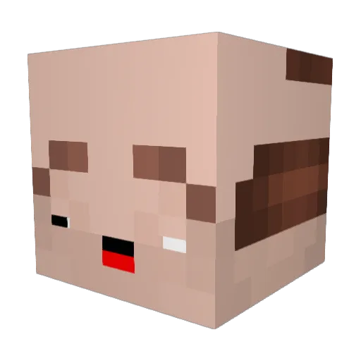 Jcarl21 Minecraft avatar head, 3D render