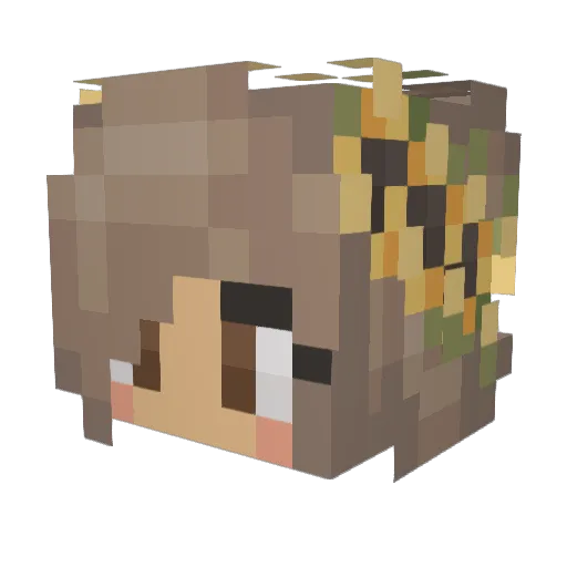 Jcdawg Minecraft avatar head, 3D render