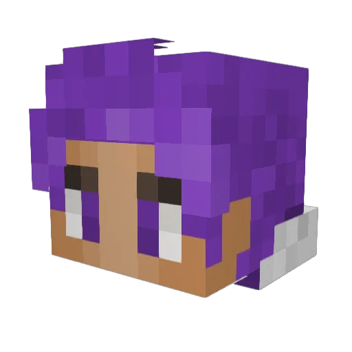 Jcksnshw_ALT Minecraft avatar head, 3D render