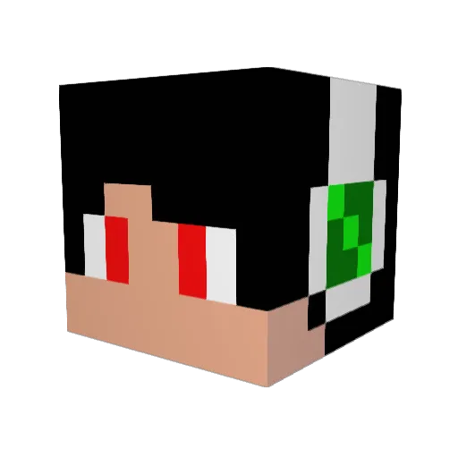 Jcraft_1243 Minecraft avatar head, 3D render