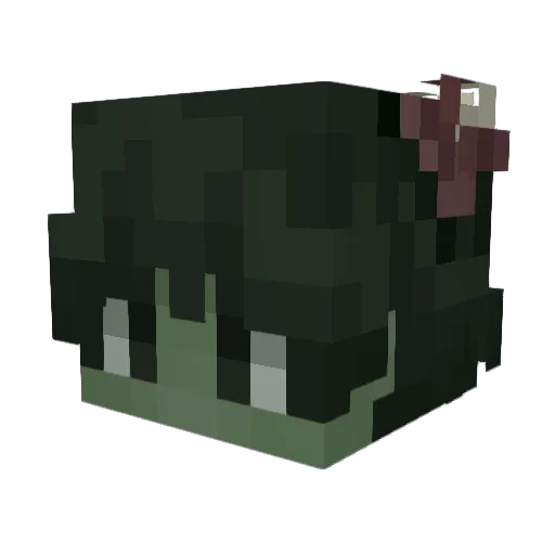 Jcrii Minecraft avatar head, 3D render